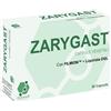 GIAMAR Srls UNIPERSONALE ZARYGAST 30 Cps