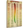 Autlry Scoville Scale Poster Art Pepper Wall Art Chart Stampa incorniciata Tela Diagramma alimentare Pittura Conoscenza Foto Decorazioni Peperoni Classificato Cucina Vintage Scoville Unità di calore