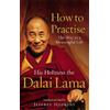 Dalai Lama How To Practise (Tascabile)
