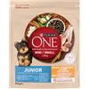 PURINA ONE Junior Mini Small Pollo con riso 800 g cibo secco per cuccioli
