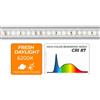 NEWA Slim LED Daylight NSP 528