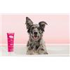 Inodorina Deodorante Spray Muschio Ambienti Pet 300ml