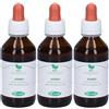 Sangalli Sorbo Macerato Glicerico Gocce 3x100 ml Soluzione orale