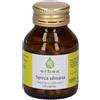 Erbex Spirea Ulmaria Capsule 43 g