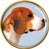 Cane Beagle Distintivo di Lapel Pin