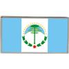 Spilla Insegna Bandiera Provincia Di Neuquén, Argentina
