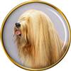Tibetano Cane Terrier Distintivo di Lapel Pin