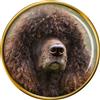 Irlandese Acqua Spaniel Cane Distintivo di Lapel Pin