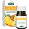 DR.GIORGINI SER-VIS Srl BROMELINA 2500GDU/G 60PAST