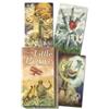 Rachel Paul Martina Rossi Tarot of the Little Prince (Merchandise)