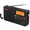 XHDATA D109WB Radio Portatile Tascabile Ricaricabile, FM/AM/LW, Orologio E Doppio Sveglia, Presa Per Cuffie, Lettore Mp3 Stereo Tf/bluetooth, Jogging, Passeggiate, Cucina, Famiglia Anziani Applicabile