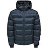 Only & Sons ONSUNION Piumino | Maniche lunghe, Casual, Temperatura massima 30°C ciclo delicato