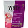+Watt Whey Protein 90 - Proteina isolata pura al 90% con tecnologia di microfiltrazione a flusso incrociato CFM - Doypack da 750 g - Gusto Fragola