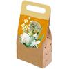 VIRIDIMANIA Bulbi da Fiore SELECTION | Bulbi dai migliori produttori Olandesi | Selezione e controllo qualità | Fioritura garantita. (40 Bulbi da Fiore per Api e Farfalle BIANCHI)