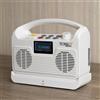 Technaxx Altoparlante TV wireless Technaxx con base TX-317 - Bluetooth 5.3, altoparlanti da 2x5 W, display LCD, 3 modalità audio, radio FM integrata, fino a 8 ore di riproduzione - Per anziani e persone ipoudenti