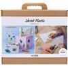 Creativ Company Set di pellicola termoretraibile per confezioni multiple - per 12 persone