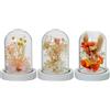 DRW Verlag Set DRW composto da 3 ventagli in vetro, con base in legno e fiori artificiali in tonalità naturali e delicate, dimensioni 8,5 x 8,5 x 11 cm