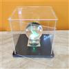 Merkloos Omgoods - Vetrina in acrilico trasparente con porta apribile - Espositore per action figure, dimensioni 25x25x40 cm