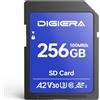 Merkloos Omgoods - Scheda di memoria CS100 da 256 GB, UHS-I - Velocità di lettura: 100 MB/s