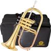 AUROSUS AFH-8355 Trivello professionale con 3 ° valvola di innesco giallo Ottone Bell Lacca finitura