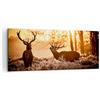 ARTTOR Quadri Moderni su Tela 120x50 cm Stampe da Parete Natura Animali - 3043 | Cervo Erica Animale Quadro Decorativo Grande 1 pezzo Soggiorno Camera da Letto Arte da Parete Decorazione da Parete ARTTOR