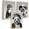 Nacnic Set Di 3 Stampe Animali Divertenti Bianco Nero Quadri Gatto Dalmata E Panda Chef Arredo Cucina A4 Senza Cornice