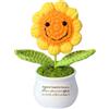 FCZIVA Regalo Vaso Girasole All'uncinetto Positivo Donne Uomini Migliore Amica Regali Natale Compleanno Ispirazionale Congratulazioni Regalo Laurea Figlia Fatto A Mano Decorazioni Per Pensionamento (Pianta)