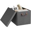 WOLTU Scatola Portaoggetti, Set di 1 Contenitori per Armadio, Scatola con Coperchio Rimovibile, Organizer con Maniglie Pieghevole, in Tessuto, Grigio, 48x36x30 cm