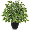 Hollyone Piante artificiali come vero ficus, 50 cm, piante di ficus artificiali in vaso, pianta verde, pianta decorativa da interni, per davanzale, soggiorno, bagno, decorazione da tavolo, verde