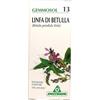 Gemmosol 13 betulla linfa 50ml - 909309332 - igiene-e-salute/rimedi-omeopatici/tinture-madri