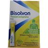 Bisolvon - Tosse Complete Pocket Sciroppo Mal Di Gola, Tosse Secca E Grassa Dai 6 Anni Confezione 12 Bustine
