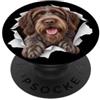 4WirehairedPointingGriffonLovers Divertente Grifone a pelo metallico che sbircia amante dei cani carino PopSockets PopGrip Adesivo