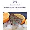 Cassandra Studio Nutraceuti e cibi funzionali (Tascabile)