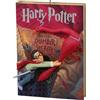 Hallmark Keepsake Ornamento natalizio, Harry Potter e la camera dei segreti, regali per i fan di Harry Potter