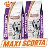 Monge Gemon Dog Adult All Breed Salmone e Riso - SCORTA CONVENIENZA - Sacco da 15 Kg
