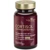 NEW SYFORM SRL PRODECO INSYN CORTISOL AS30CPR