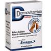 PASQUALI Srl Dermovitamina Ragadi Mani e Piedi - Gel lenitivo e cicatrizzante - 7 ml
