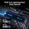 Fanxiang M.2 SSD Hard Disk 2TB 1TB 500GB PCIe 4.0 NVMe PS5 Gaming Disco rigido