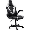 Trust GXT703W RIYE GAMING CHAIR WHITE 25130