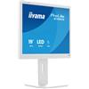 Iiyama Monitor Led 19'' Iiyama HD 1280x1024 classe D 3ms Bianco [B1980S-W1]