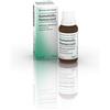 Biologische Heilm. Heel Gmbh Hamamelis Homaccord Soluzione Orale Gocce30ml