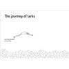User Design, Illustration and Typesetting The Journey of Larks (opuscolo)