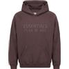 FEAR OF GOD ESSENTIALS - Felpa - Prugna