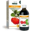 Giorgini Dr.giorgini Acerola Estratto Titolato 50% In Vitamina C 200ml