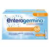 Enterogermina 4 Miliardi/5ml Sospensione Orale 30 Flaconcini