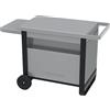 Campingaz Deluxe BBQ Trolley