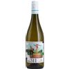 PIERSANTI VERDICCHIO DEI CASTELLI DI JESI DOC CLASSICO 2025 QUOTA 311 - PIERSANTI TEATRO DEL VINO