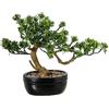 DRW Pianta artificiale di un bonsai di un pino in PE e PVC con vaso in verde e marrone, 35 x 23 x 28 cm