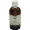 R V Essential Olio germe grano | Triticum Vulgare | Per capelli | Per viso | 100% naturale puro | Olio germe grano pressato a freddo | Olio carrier di germe grano | Wheatgerm Oil | 100ml | 3.38oz By R V Essential
