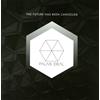Palais Ideal FUTURE HAS BEEN.. -10"- (Vinyl LP)